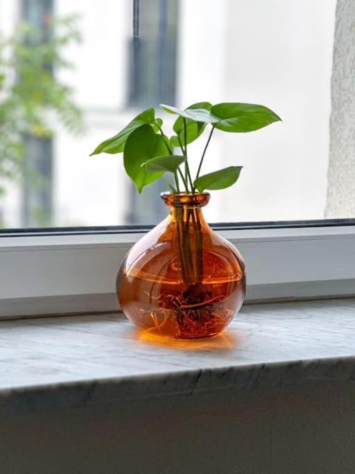 Moderne In Apartment *